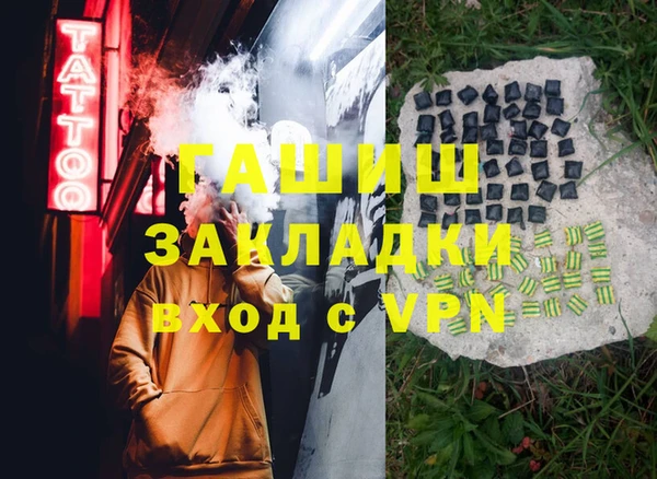 гидра Абаза