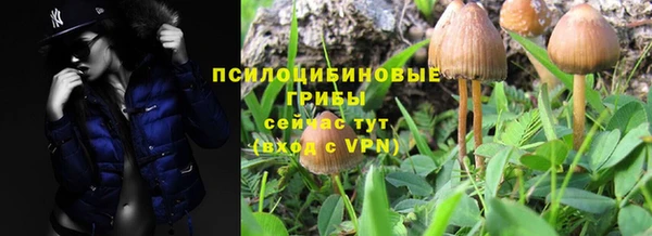 скорость Алексеевка