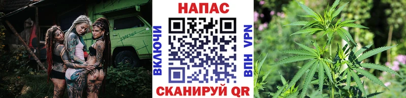 где можно купить   Котовск  Конопля VHQ 